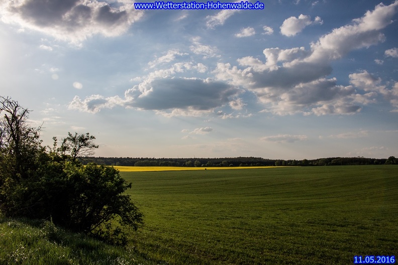 frisch gemähtes Feld